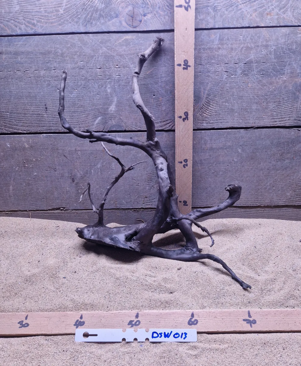 Dark Spiderwood DSW013