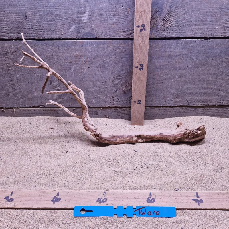 Talawa Wood TW010