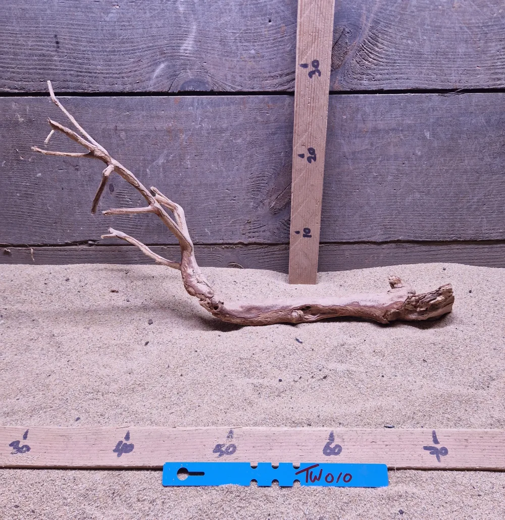 Talawa Wood TW010