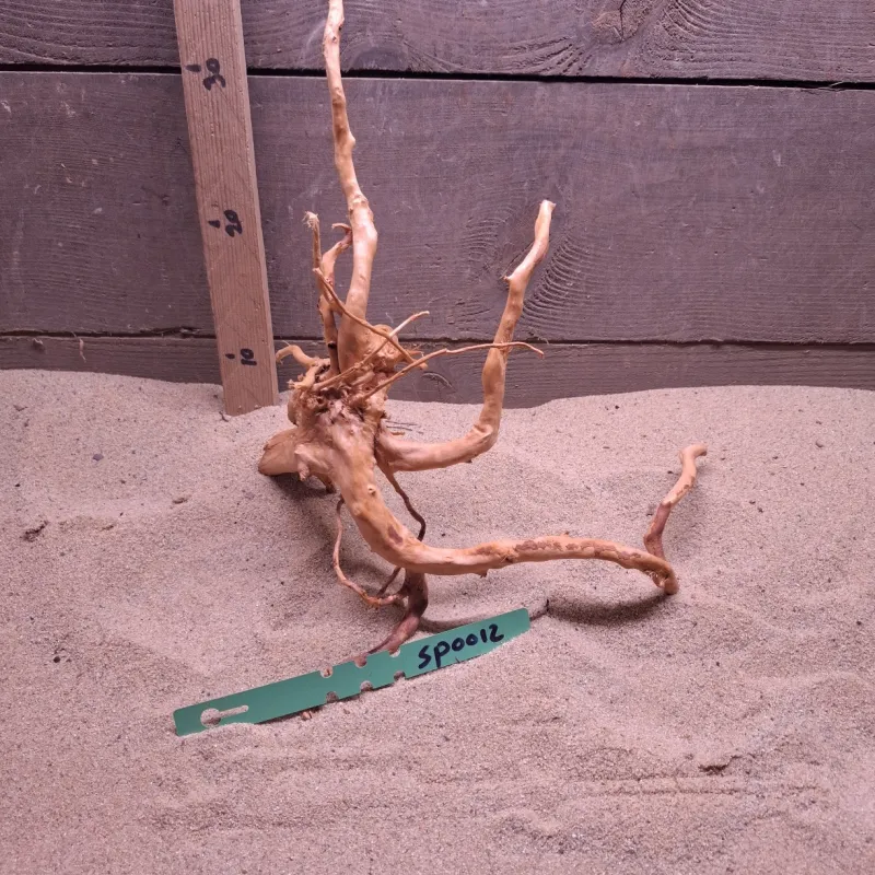 Spiderwood SP0012