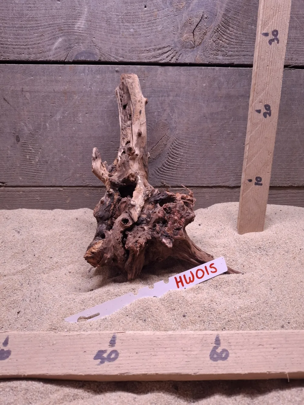 Hornwood HW015