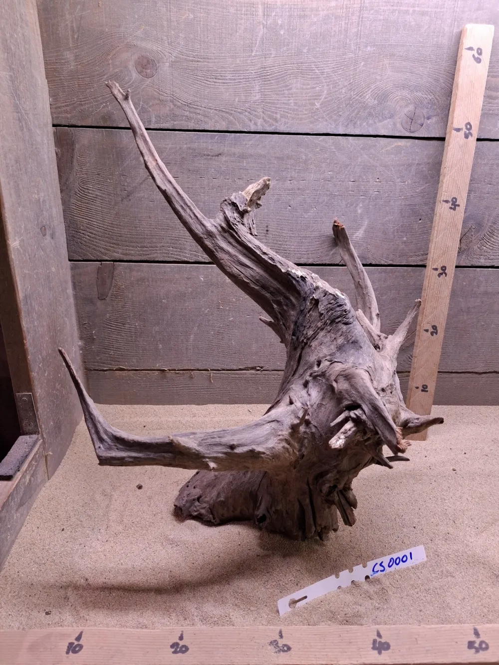 Corbo Root CS0001