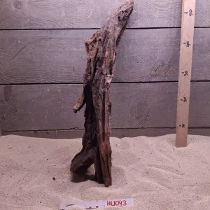 Hornwood HW043