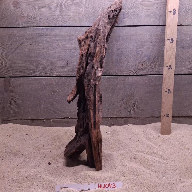 Hornwood HW043