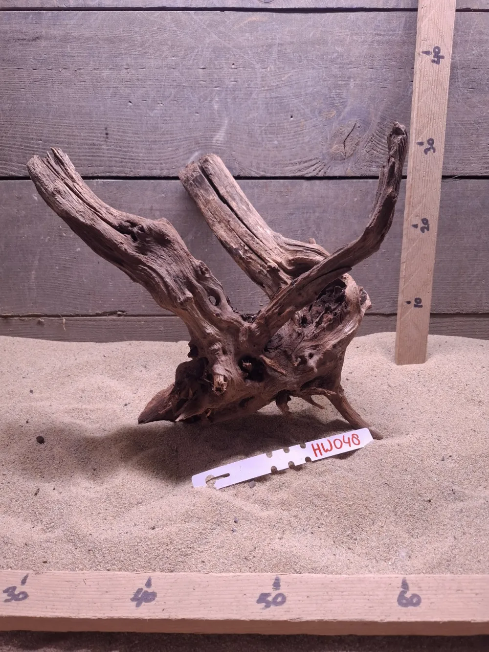 Hornwood HW048