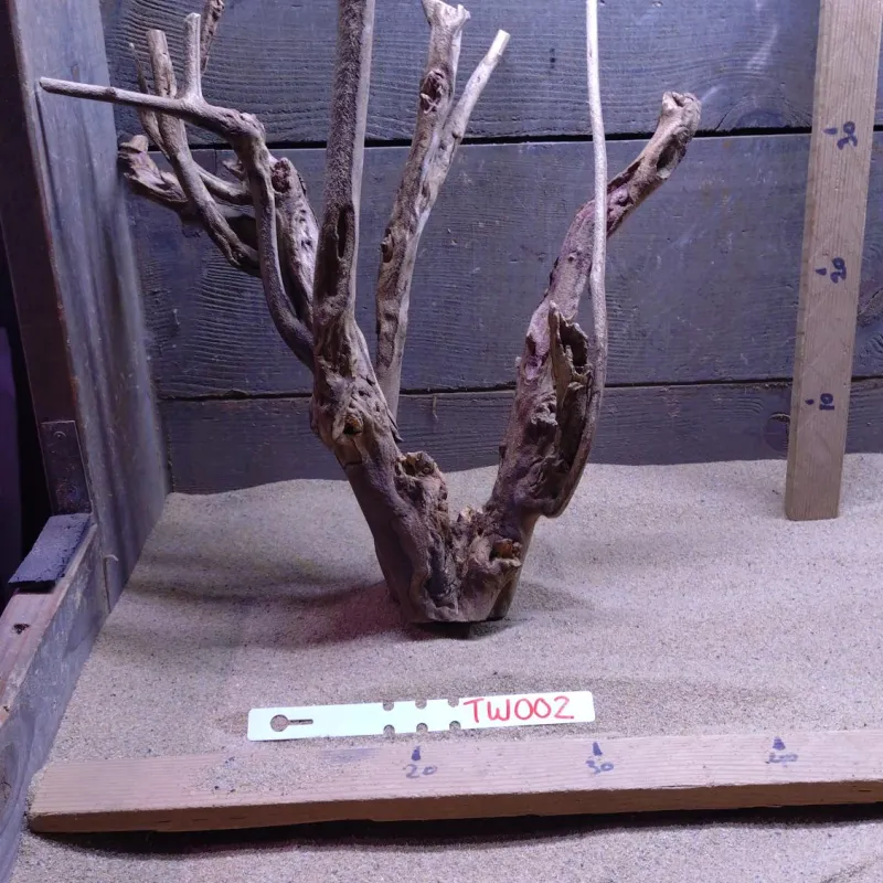 Talawa Wood TW002