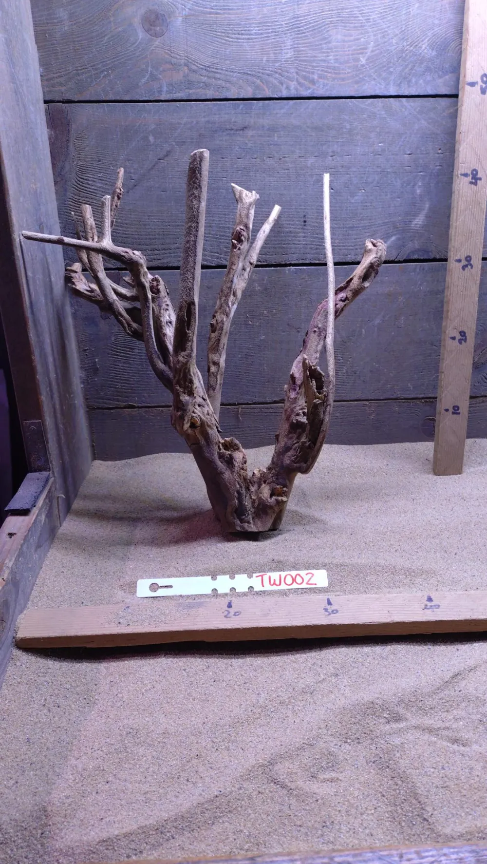 Talawa Wood TW002