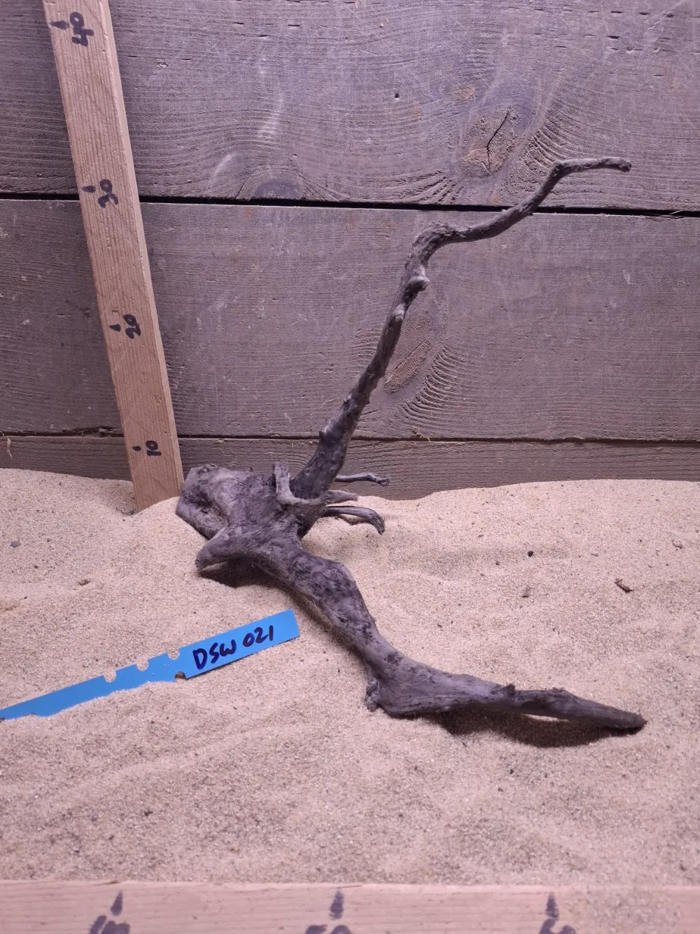 Dark Spiderwood DSW021