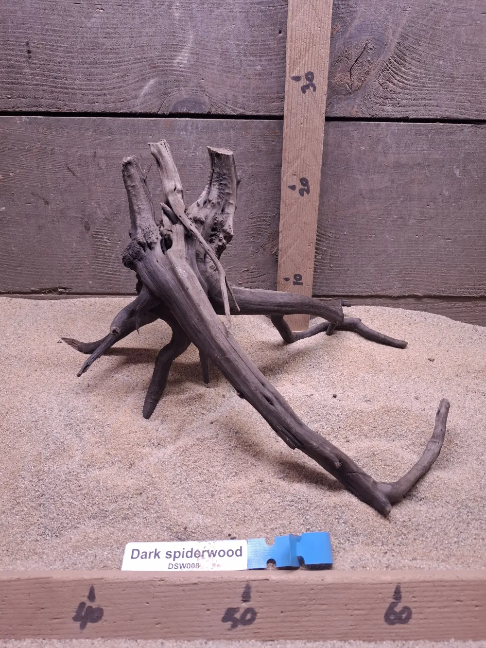 Dark Spiderwood DSW008