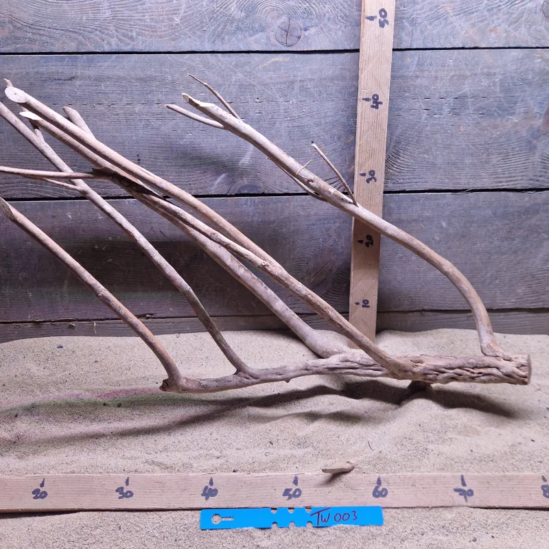 Talawa Wood TW003