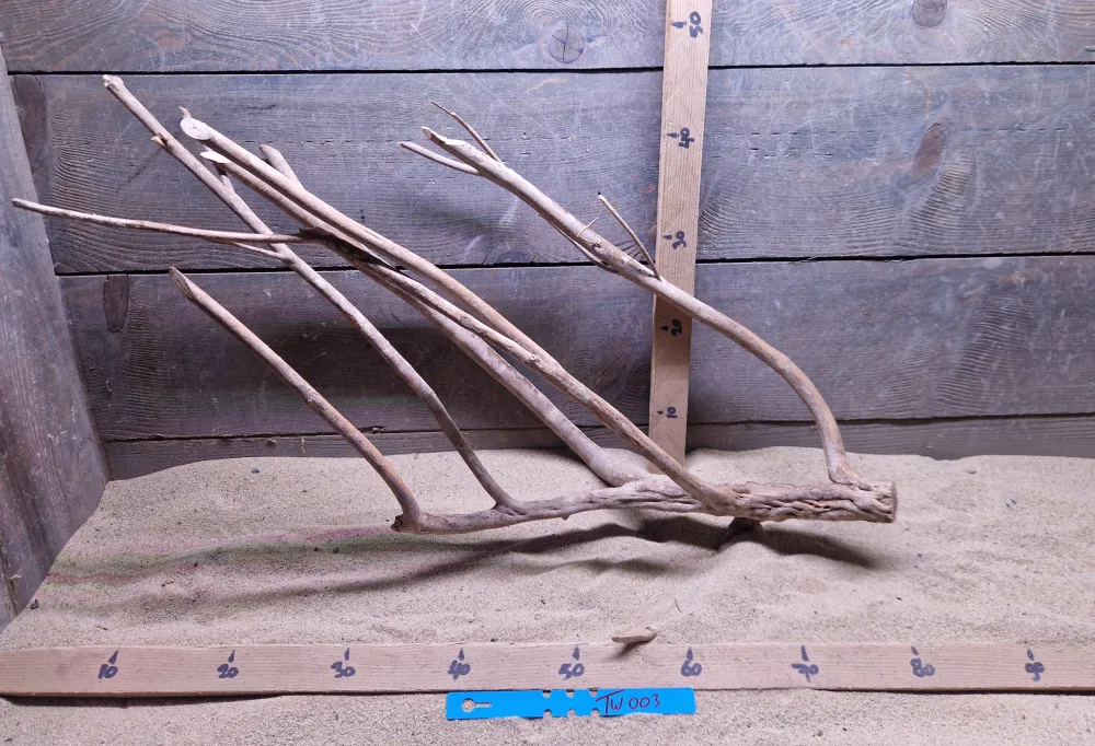 Talawa Wood TW003