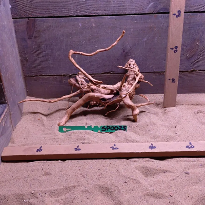 Spiderwood SP0025