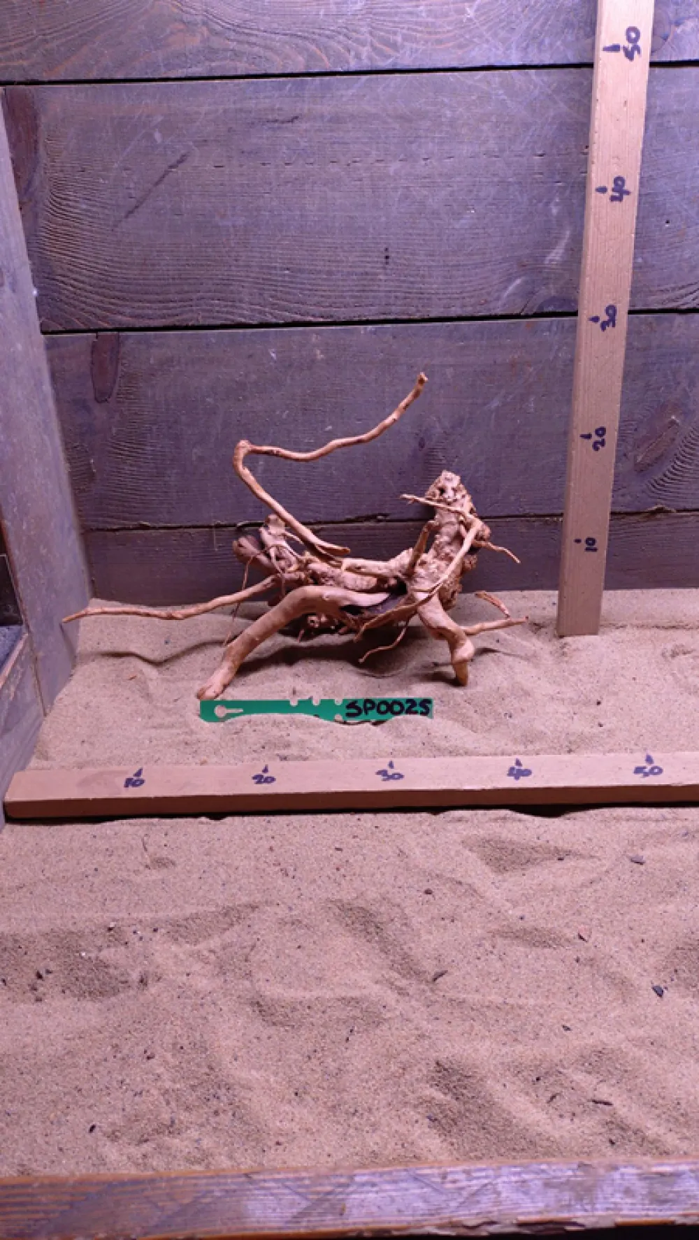 Spiderwood SP0025