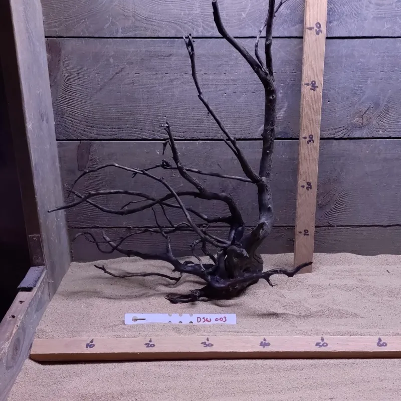 Dark Spiderwood DSW003