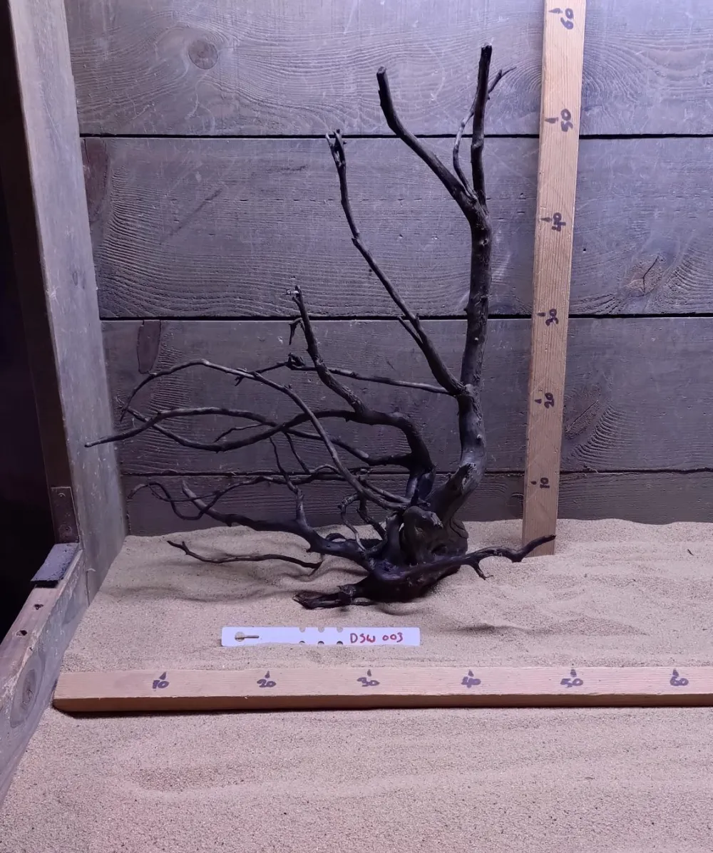 Dark Spiderwood DSW003