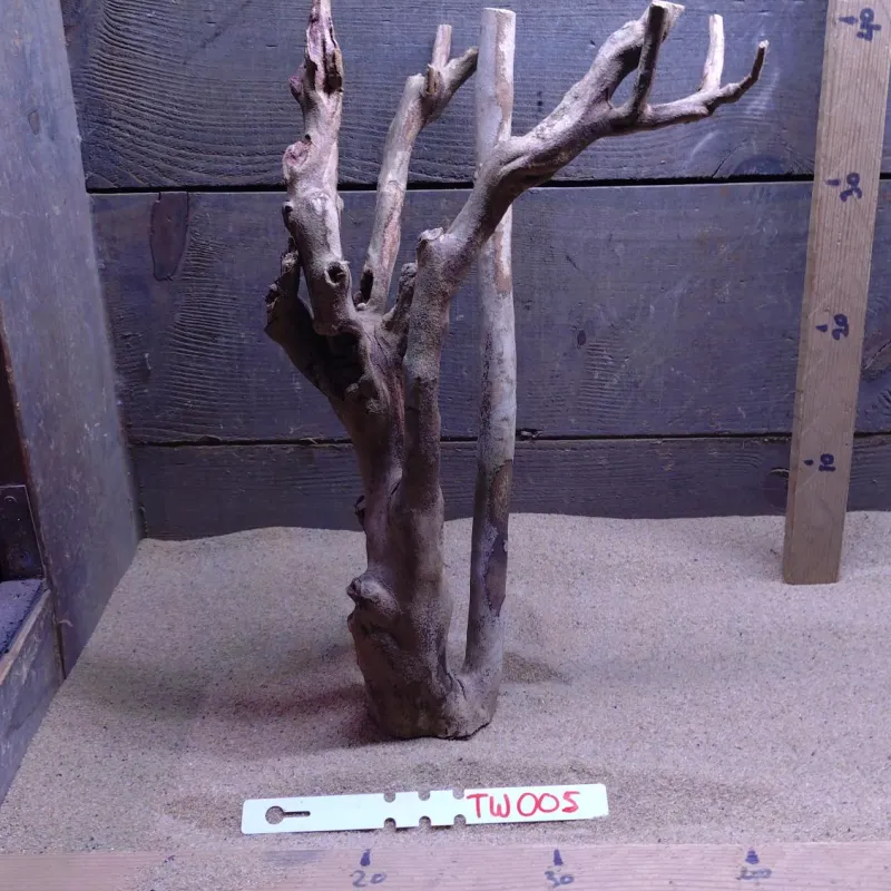 Talawa Wood TW005