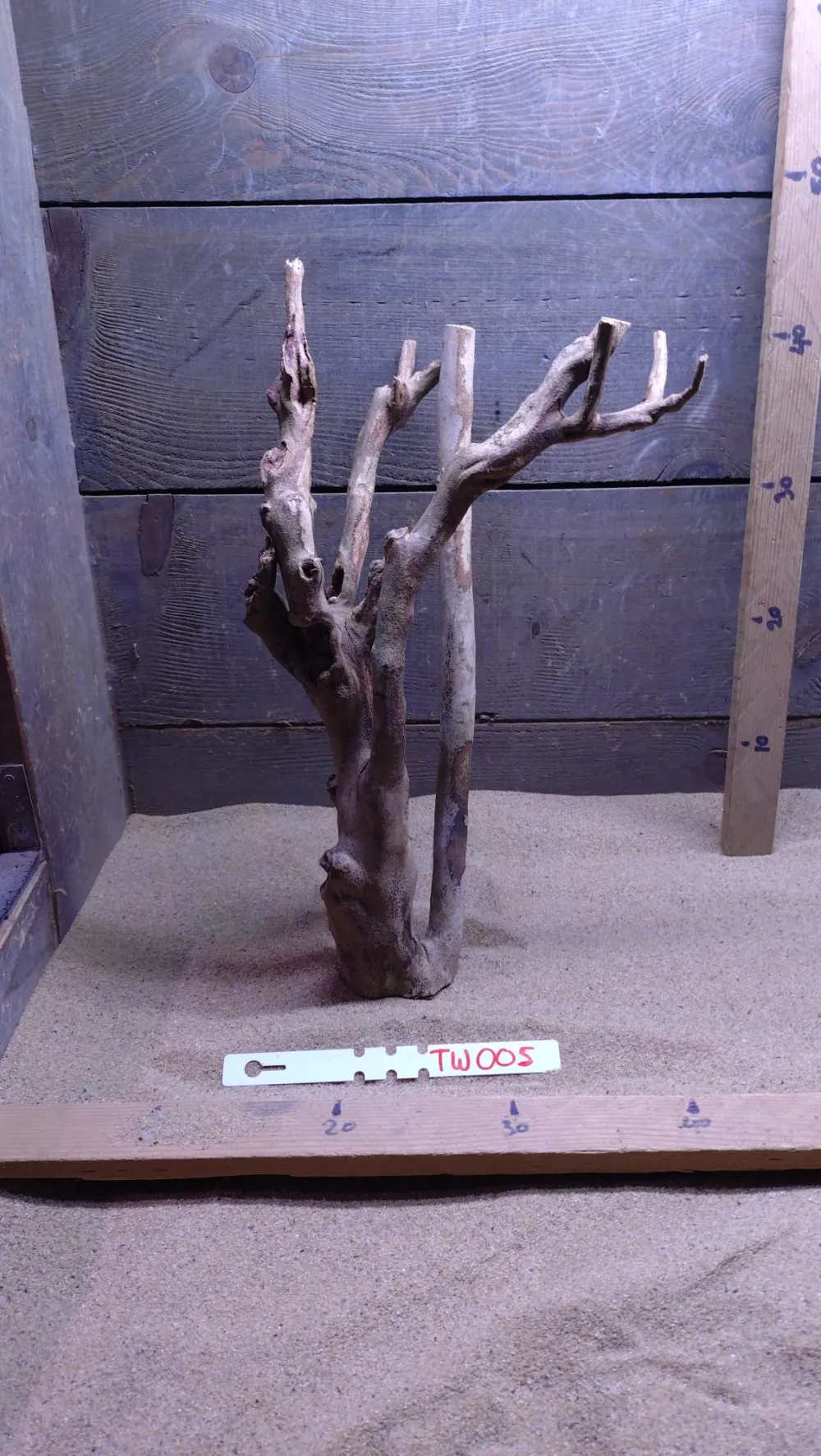 Talawa Wood TW005