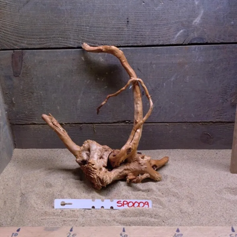 Spiderwood SP0009
