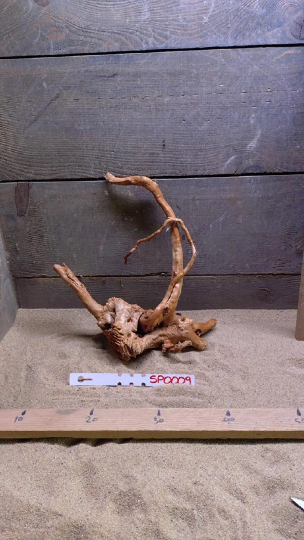Spiderwood SP0009