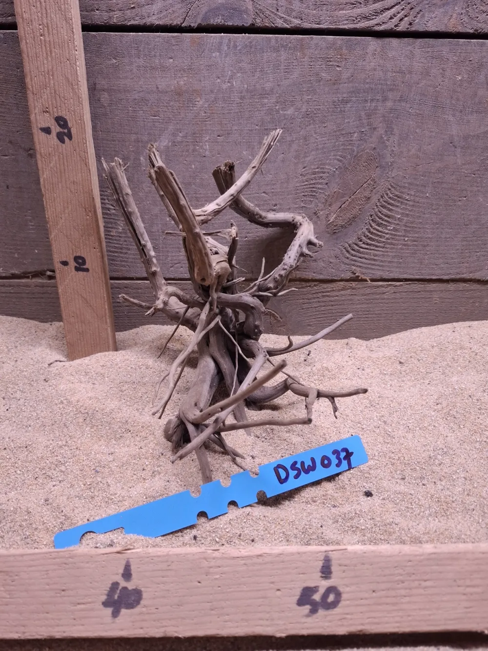 Dark Spiderwood DSW037