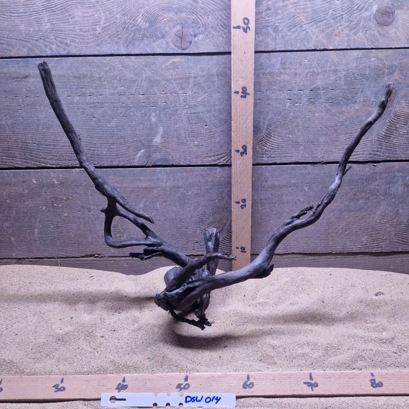 Dark Spiderwood DSW014