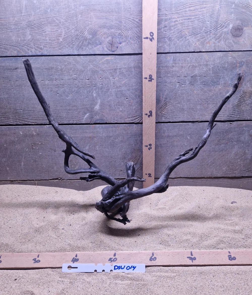 Dark Spiderwood DSW014