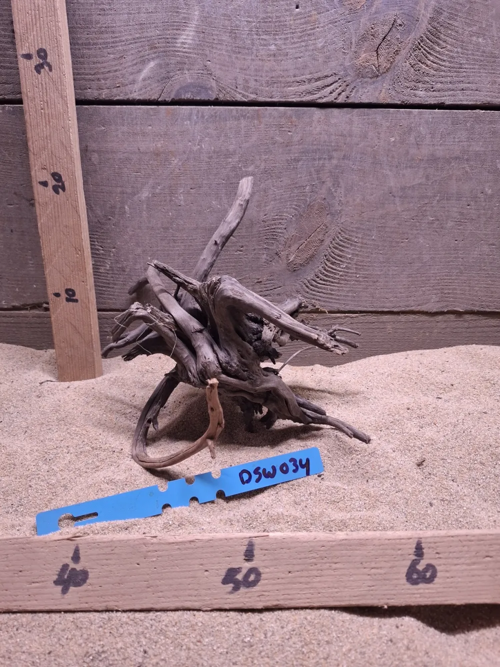 Dark Spiderwood DSW034