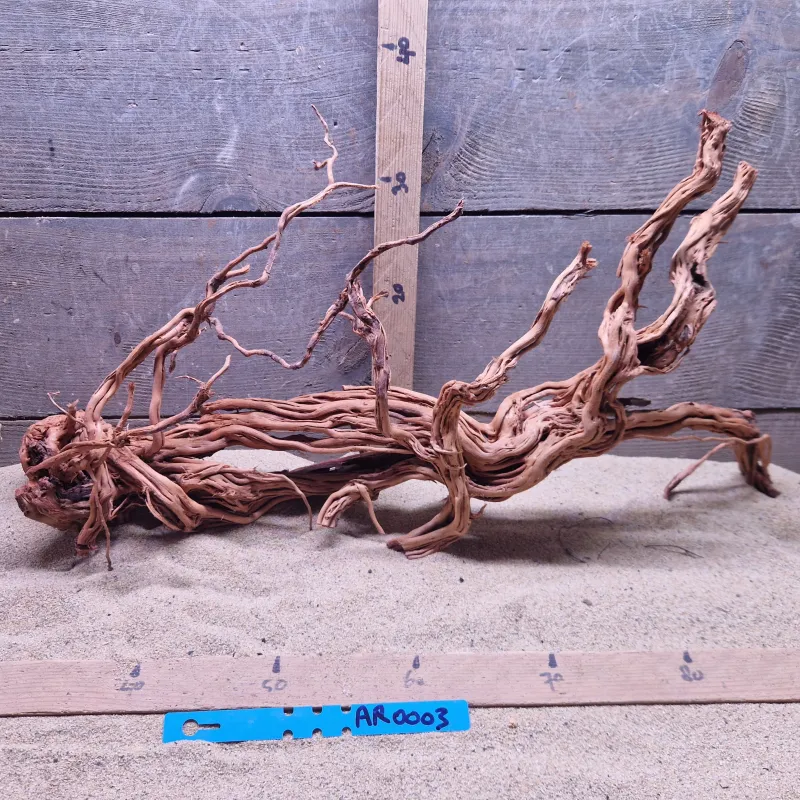 Azalea Root AR0003