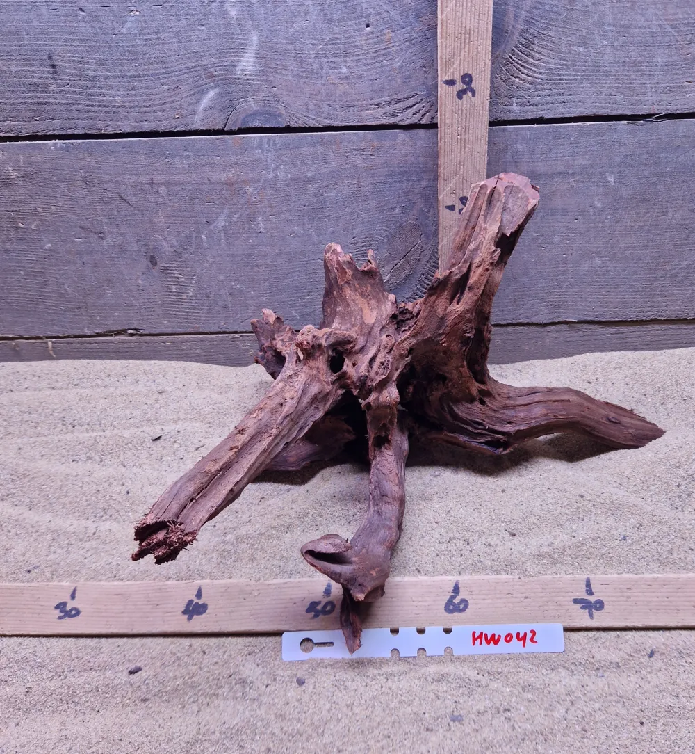 Hornwood HW042