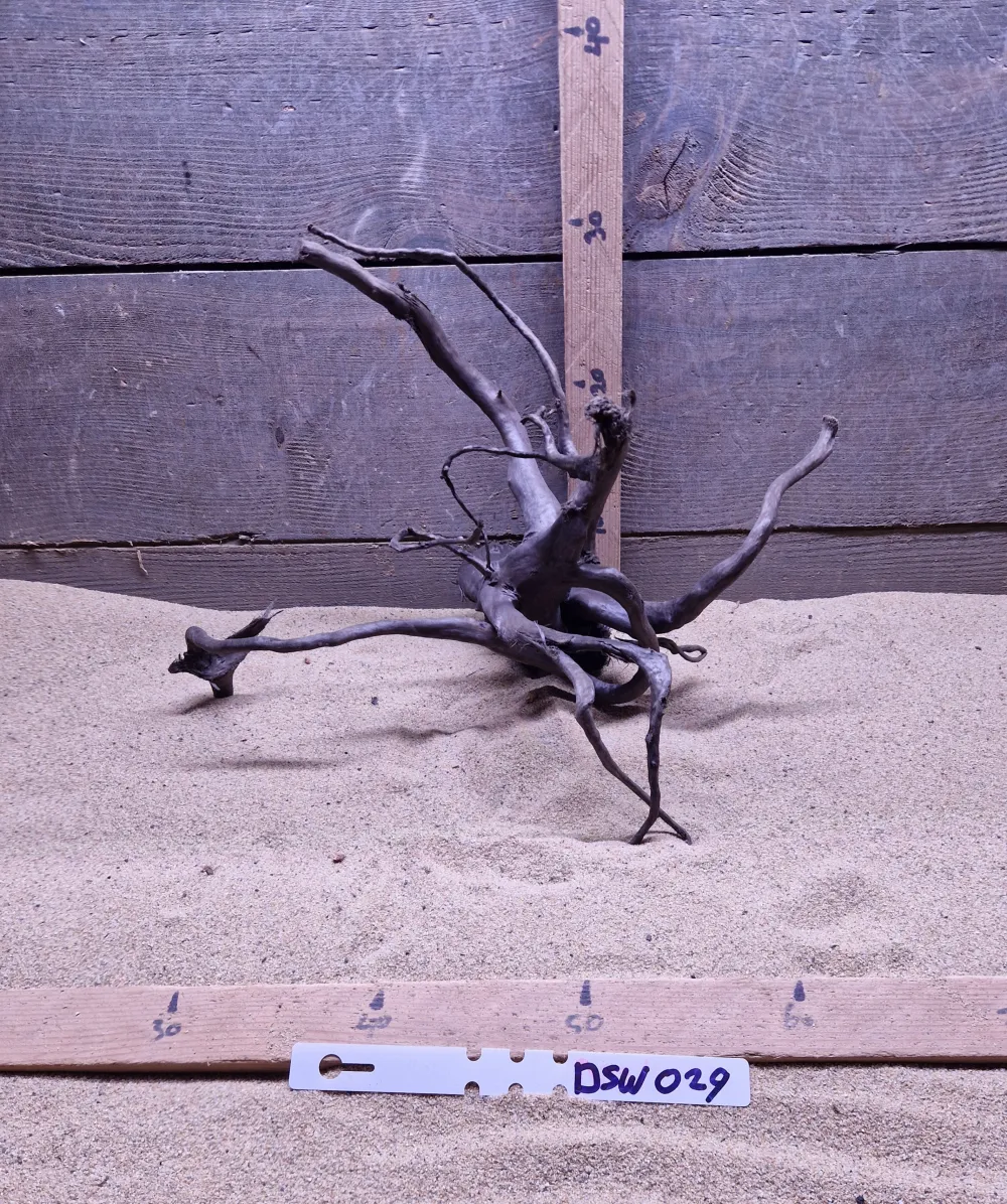 Dark Spiderwood DSW029