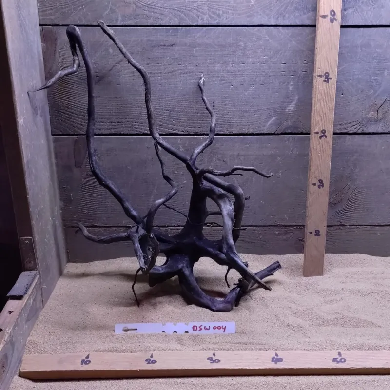 Dark Spiderwood DSW004