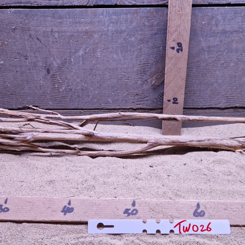 Talawa Wood TW026