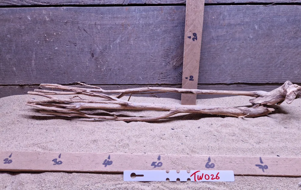 Talawa Wood TW026