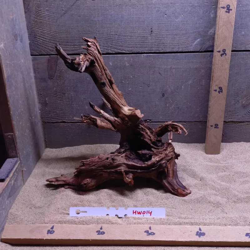 Hornwood HW014