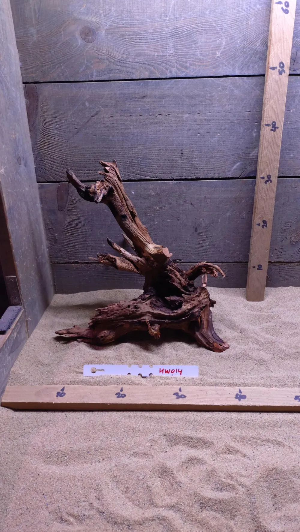 Hornwood HW014
