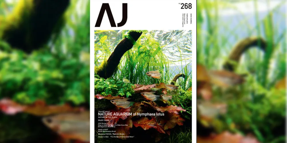 Aquajournal Februari 2018
