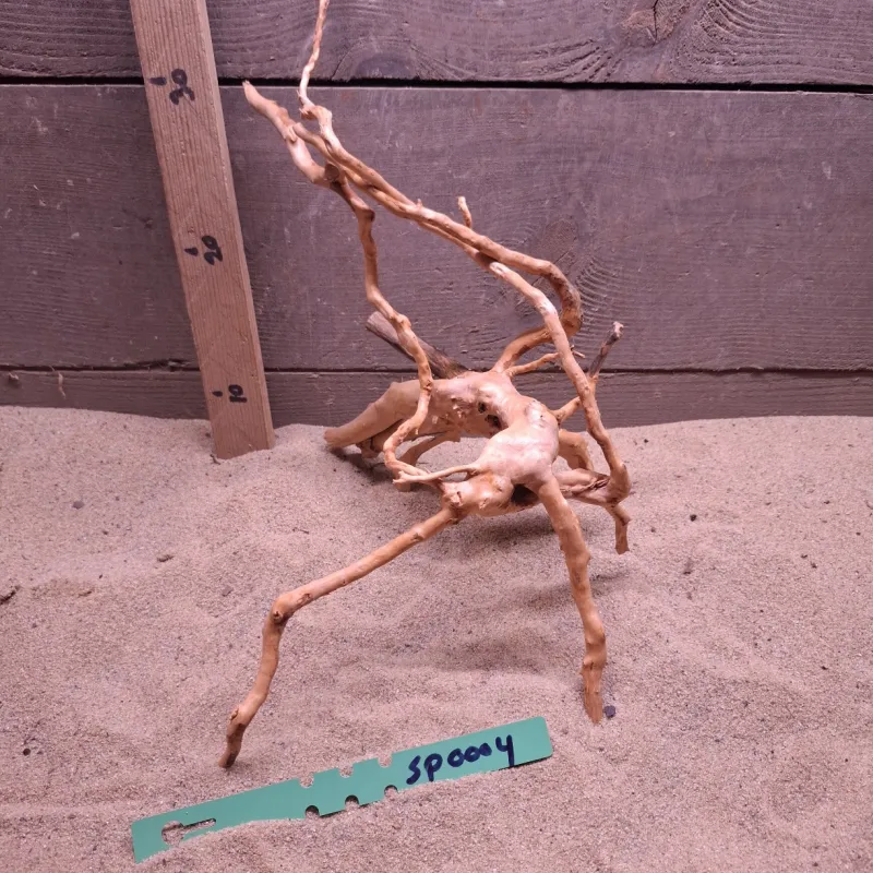 Spiderwood SP0004