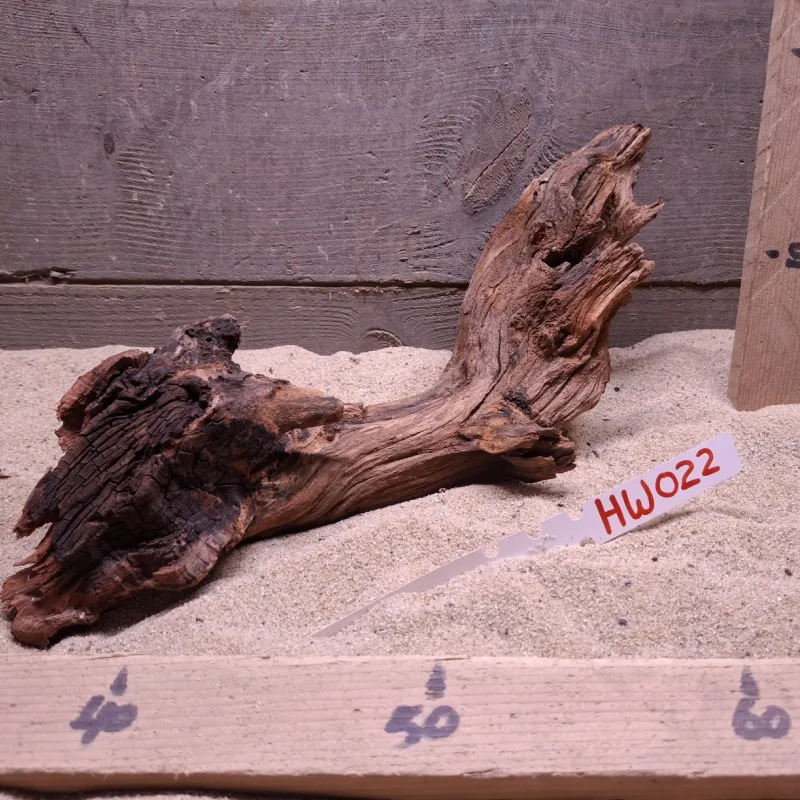 Hornwood HW022