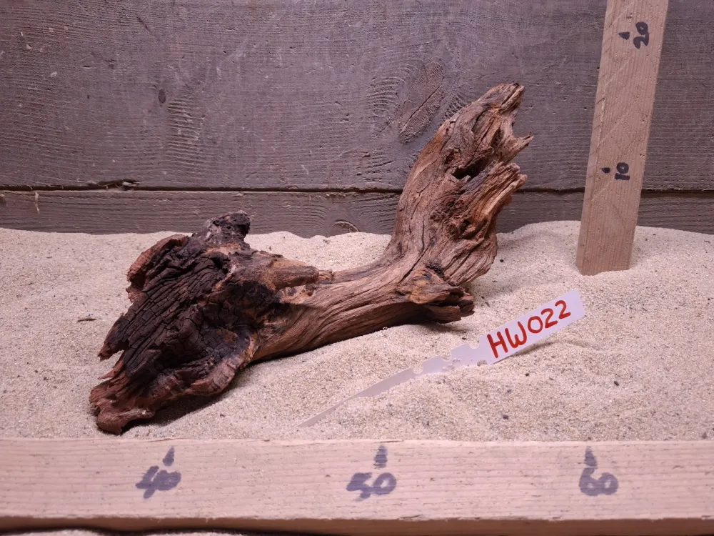 Hornwood HW022