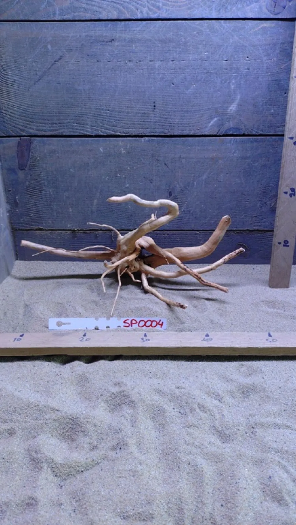 Spiderwood SP0004