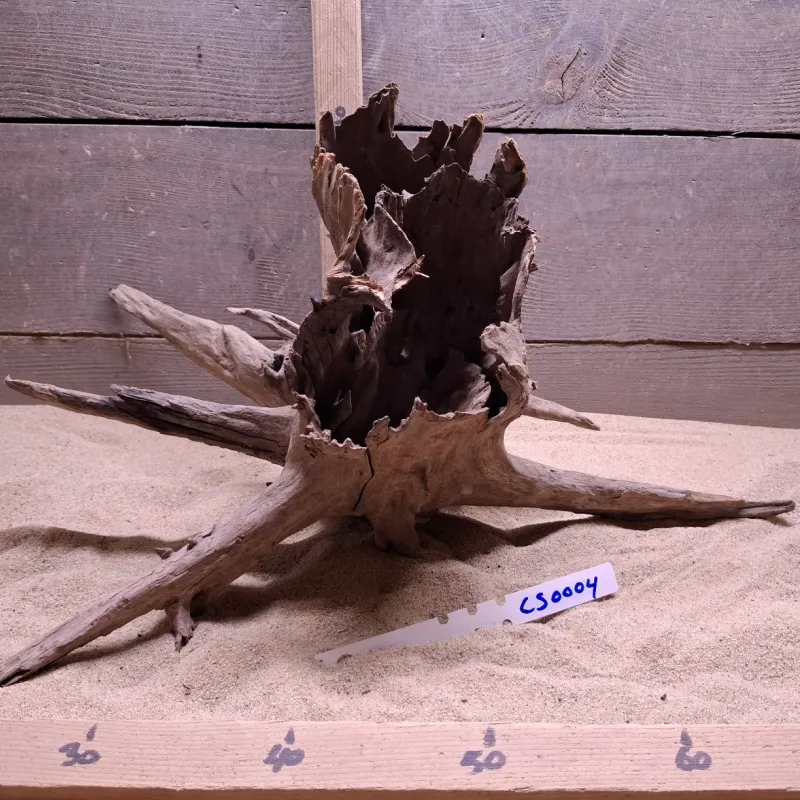 Corbo Root CS0004