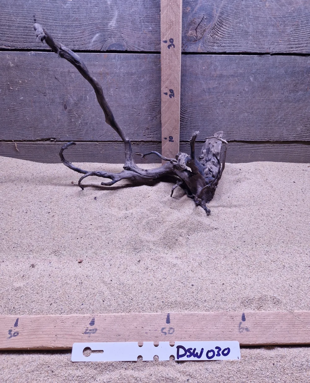 Dark Spiderwood DSW030