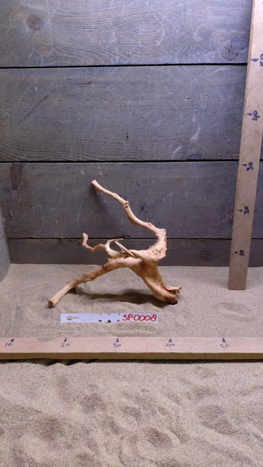 Spiderwood SP0008