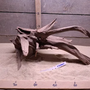 Corbo Root CS0001