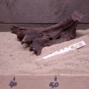 Hornwood HW030