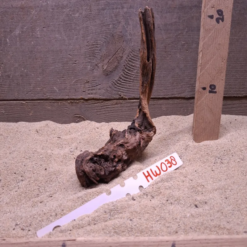 Hornwood HW038