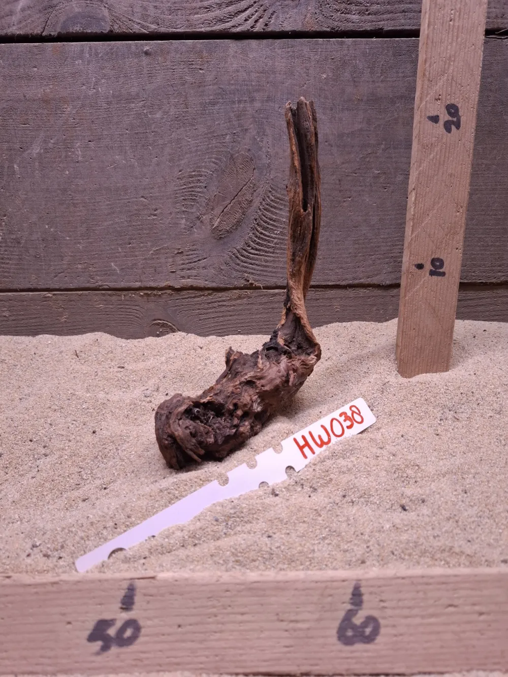 Hornwood HW038