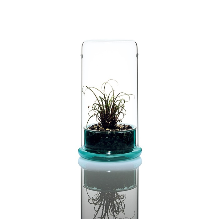 DOOA ・ADA Glass Pots en Cell