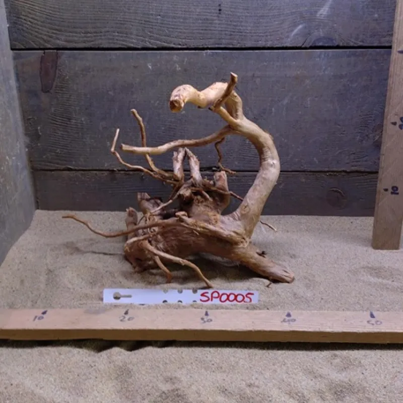 Spiderwood SP0005