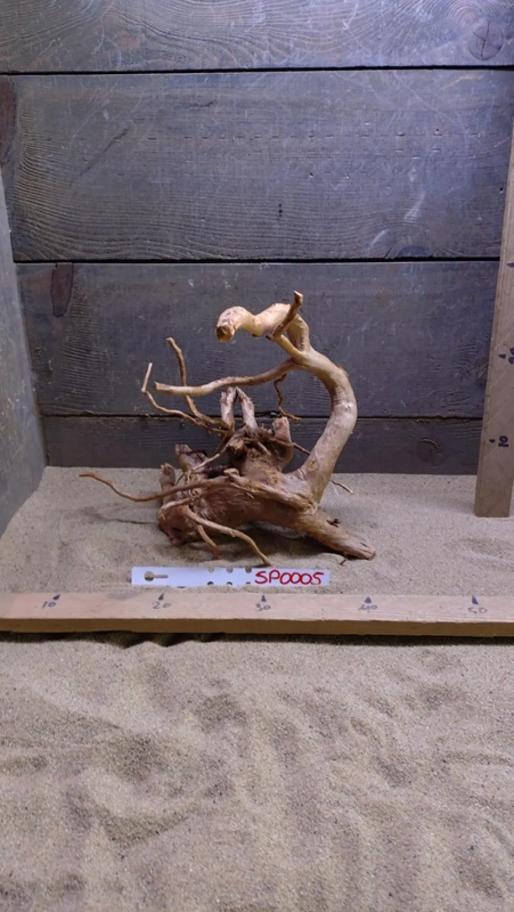 Spiderwood SP0005